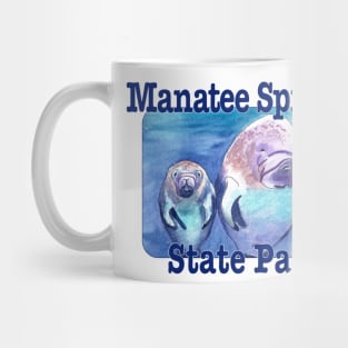 Manatee Springs State Park, Florida Mug